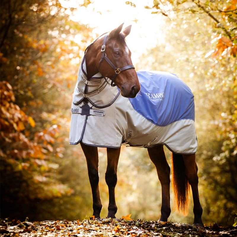 Horseware Rambo Autumn Series Detach-A-Neck Turnout Rug  - Navy/Grey-1